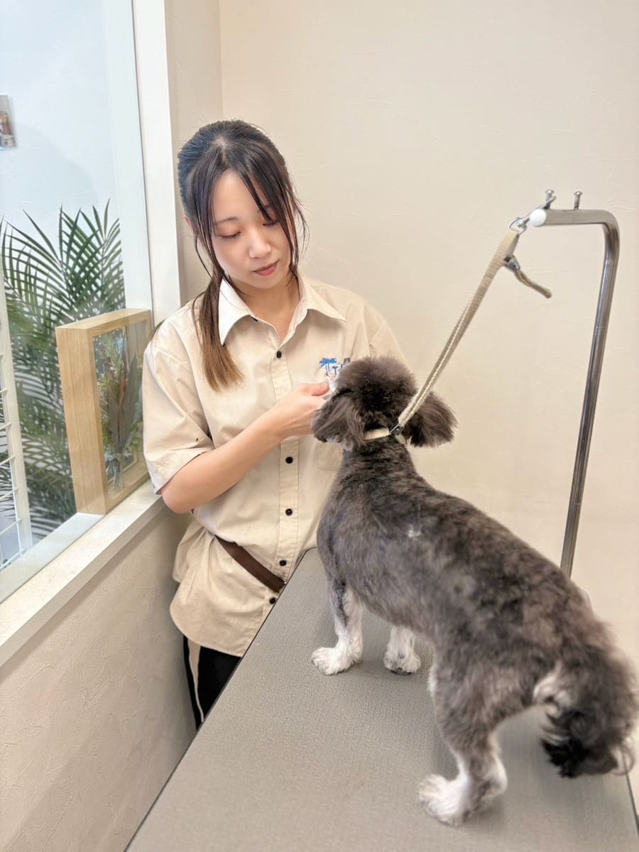 トリマーRuna