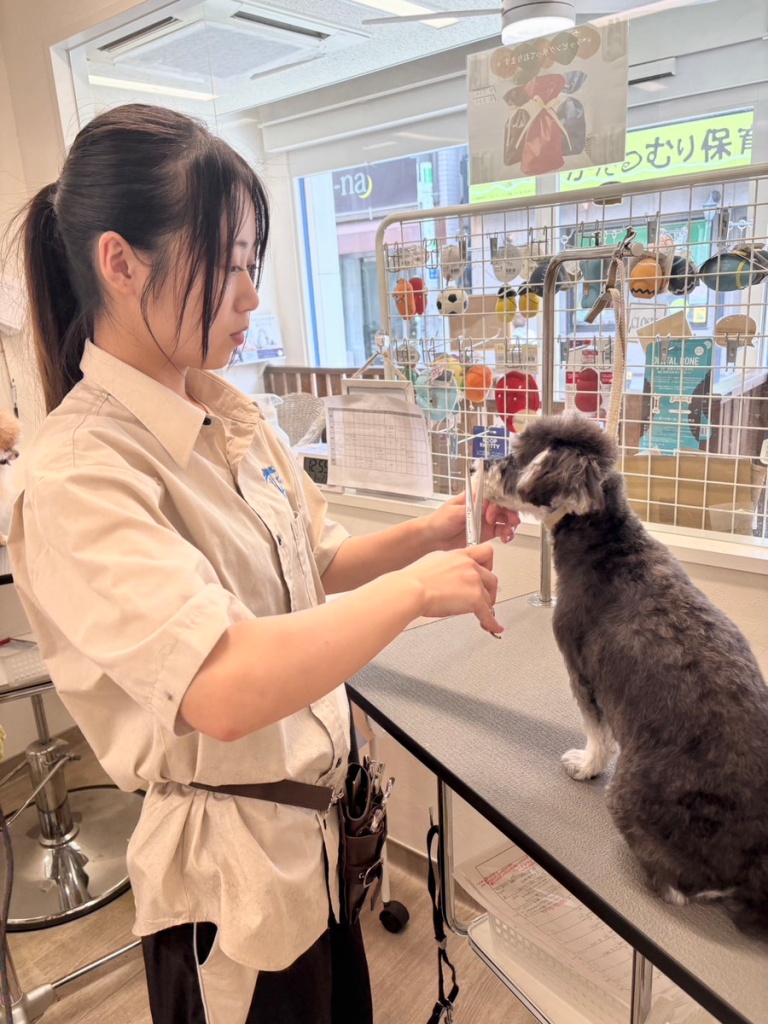 トリマーRuna